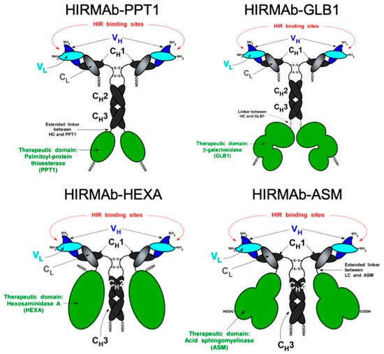 Pharmaceutics 14 01476 g002 550