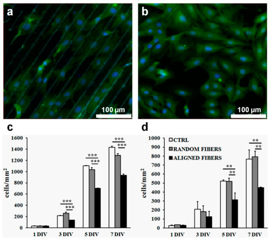 Ijms 23 07731 g008 550