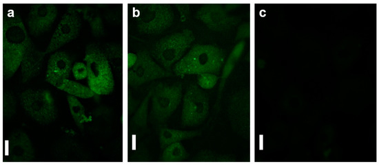 Ijms 23 07731 g009 550