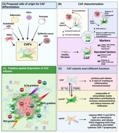 Cancers 14 03570 g001 550