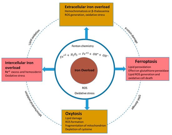 Nanomaterials 12 02462 g007 550