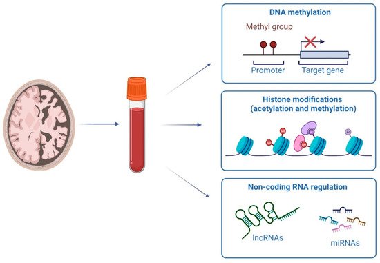 Genes 13 01308 g001 550