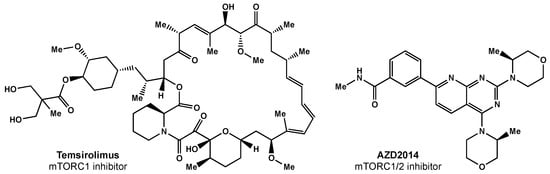 Biomedicines 10 01763 g004 550