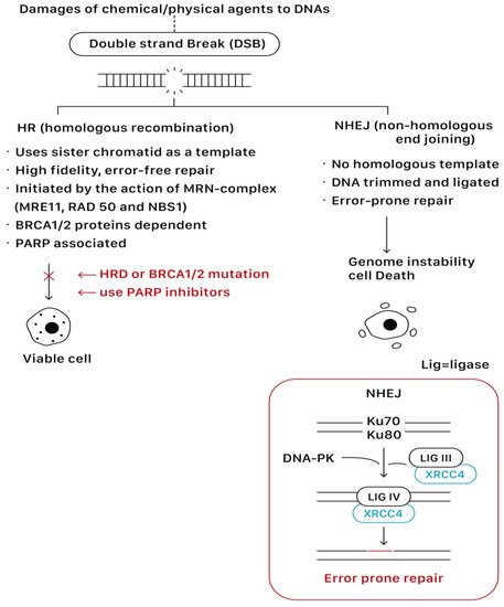 Ijms 23 08125 g004 550