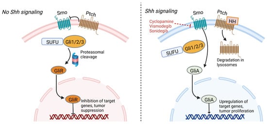 Cancers 14 03743 g001 550