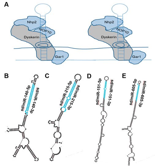 Biomedicines 10 01819 g003 550