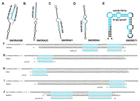 Biomedicines 10 01819 g004 550