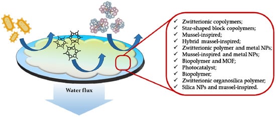 Molecules 27 04856 g004 550