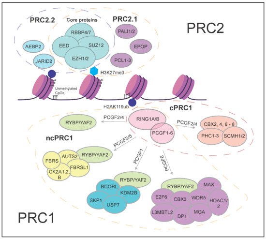 Epigenomes 06 00023 g001 550