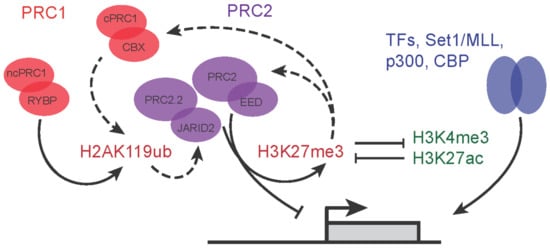 Epigenomes 06 00023 g002 550