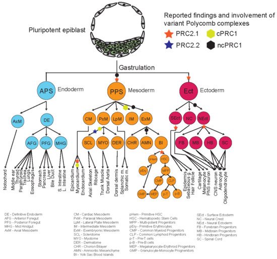 Epigenomes 06 00023 g004 550