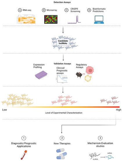 Cancers 14 03866 g002 550