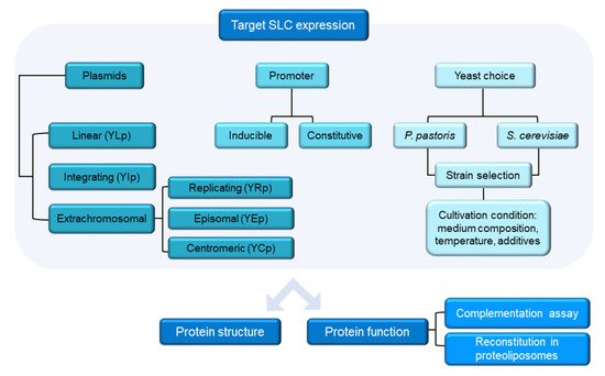 Life 12 01206 g002 550