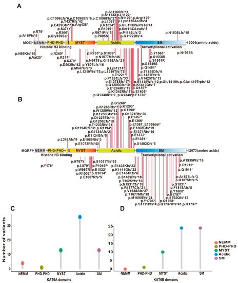 Human Diseases With Mutations In The BRPF1-KAT6A/KAT6B Complex ...