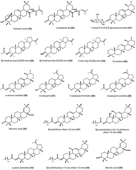 Plants 11 02184 g004b 550