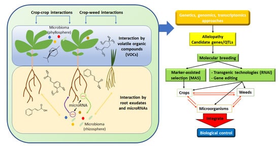 Agronomy 12 02043 g001 550