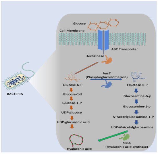 Polymers 14 03442 g004 550