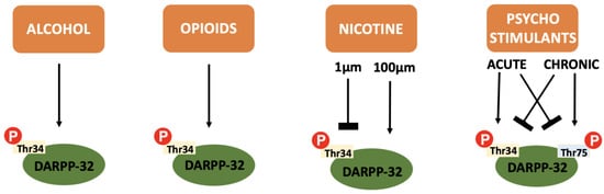 Neurosci 03 00035 g004 550