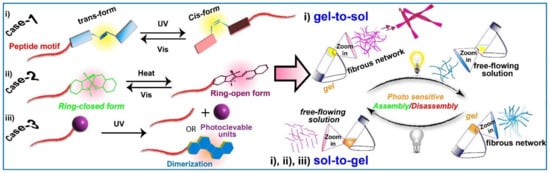 Gels 08 00533 sch001 550