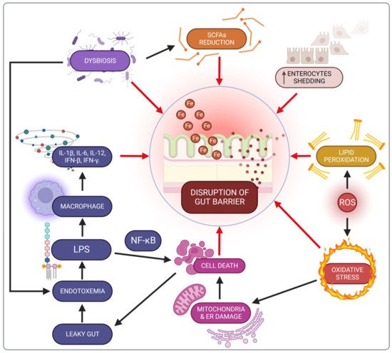 Nutrients 14 03478 g003 550