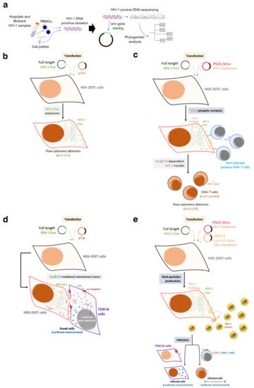 Biomedicines 10 02172 g002 550