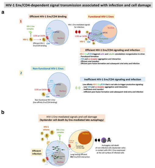 Biomedicines 10 02172 g003 550