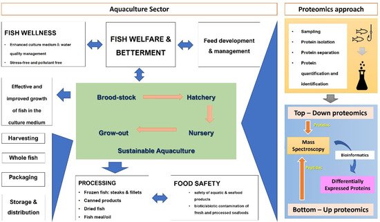 Proteomes 10 00032 g002 550