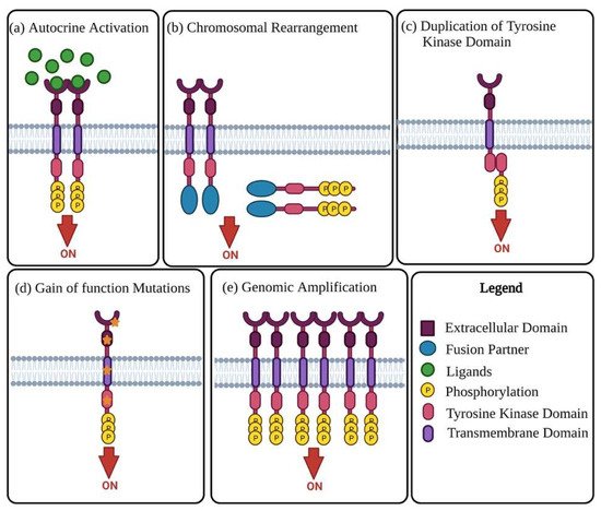 Biomedicines 10 02113 g001 550