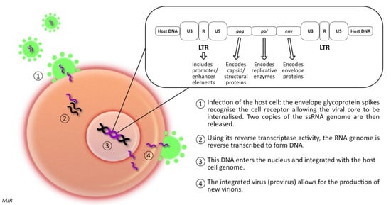 Vetsci 09 00467 g001 550