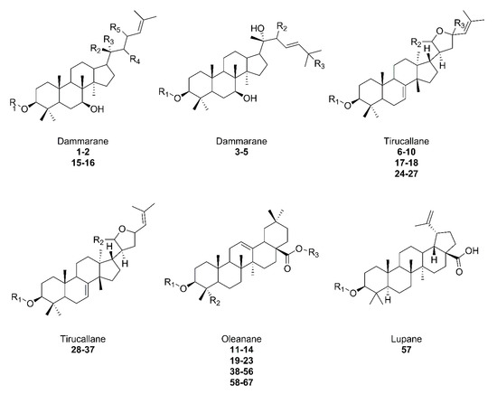 Plants 11 02355 g003 550