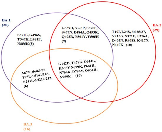 Vaccines 10 01468 g001 550