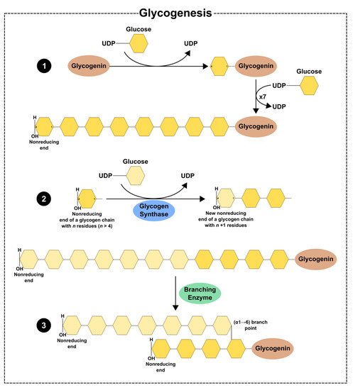 Biochem 02 00014 g001 550