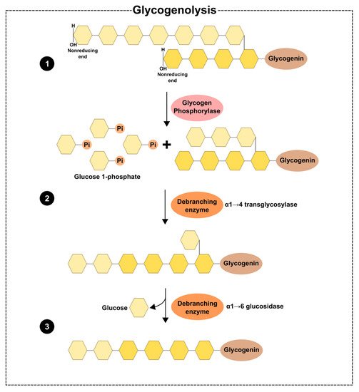 Biochem 02 00014 g002 550