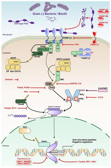 Biomedicines 10 02304 g001 550