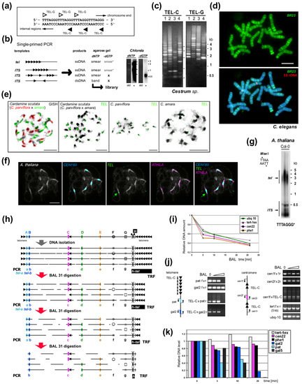 Genes 13 01663 g002 550