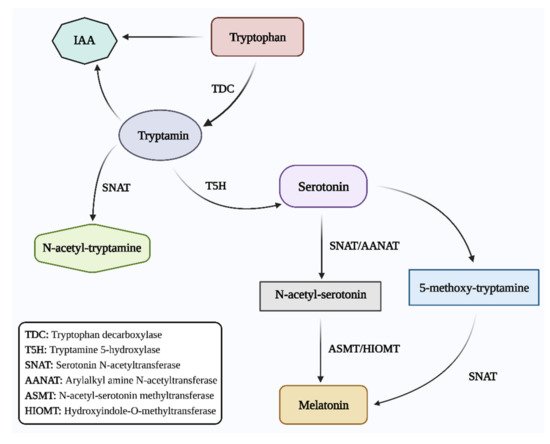 Genes 13 01699 g001 550