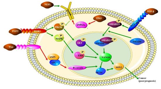 Biomedicines 10 02359 g001 550