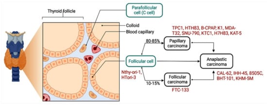 Cancers 14 04728 g004 550
