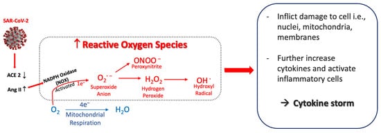 Biology 11 01446 g001 550