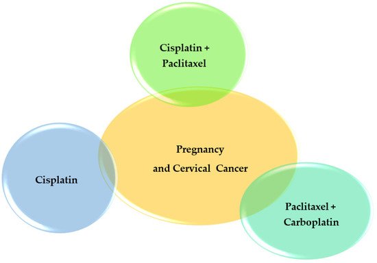 Pharmaceutics 14 02080 g003 550