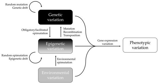 Epigenomes 06 00031 g001 550