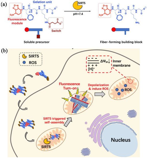 Molecules 27 06557 g001 550