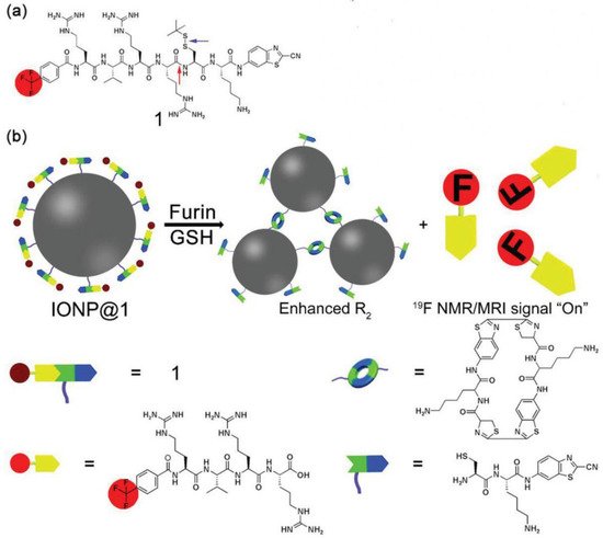 Molecules 27 06557 g003 550