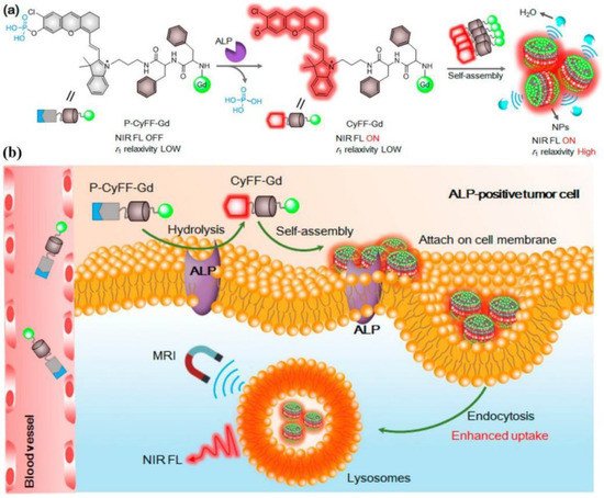 Molecules 27 06557 g004 550