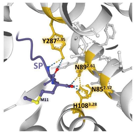 Receptors 01 00004 g008 550