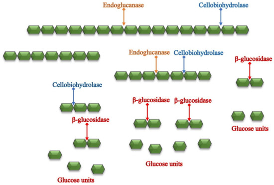 Catalysts 12 01121 g003 550