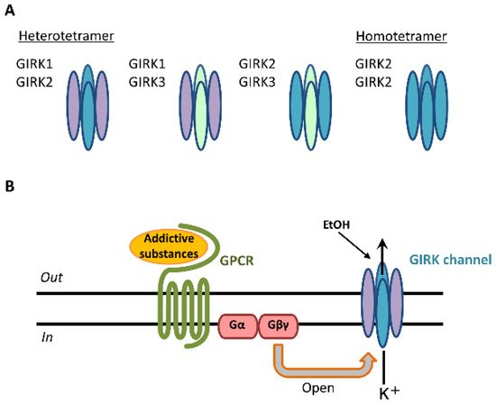 Biomedicines 10 02552 g001 550