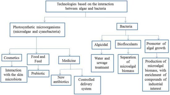 Microorganisms 10 02029 g002 550