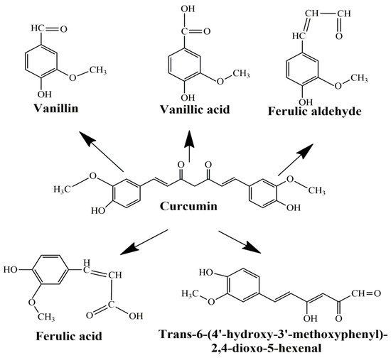 Molecules 27 06854 g003 550