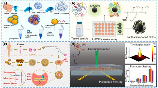 Biosensors 12 00862 g001 550